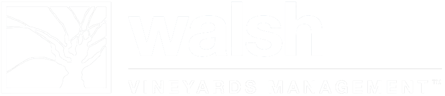Walshvineyards